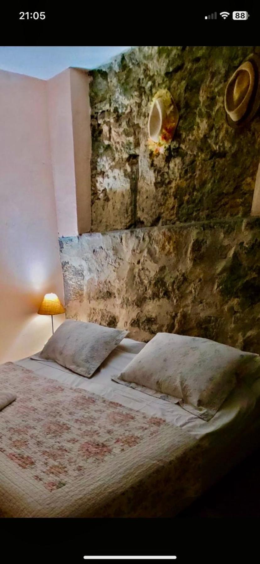 Casa Da Carmen E Do Fernando Hotel Rio de Janeiro Eksteriør billede